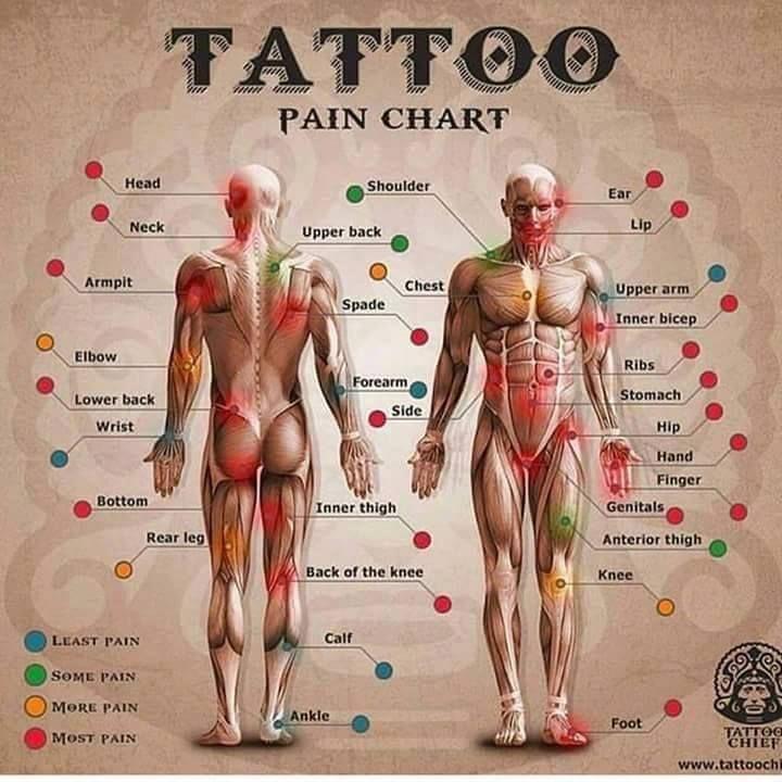 Zonas más y menos dolorosas para hacerse un tatuaje