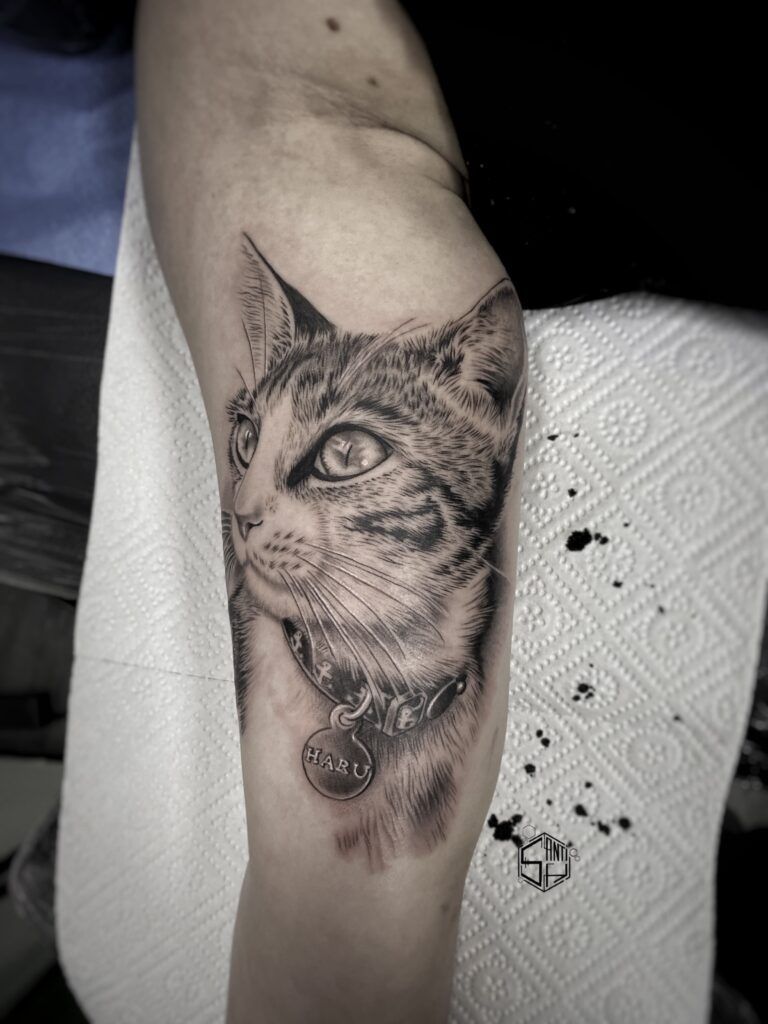Ideas de tatuajes de gatos