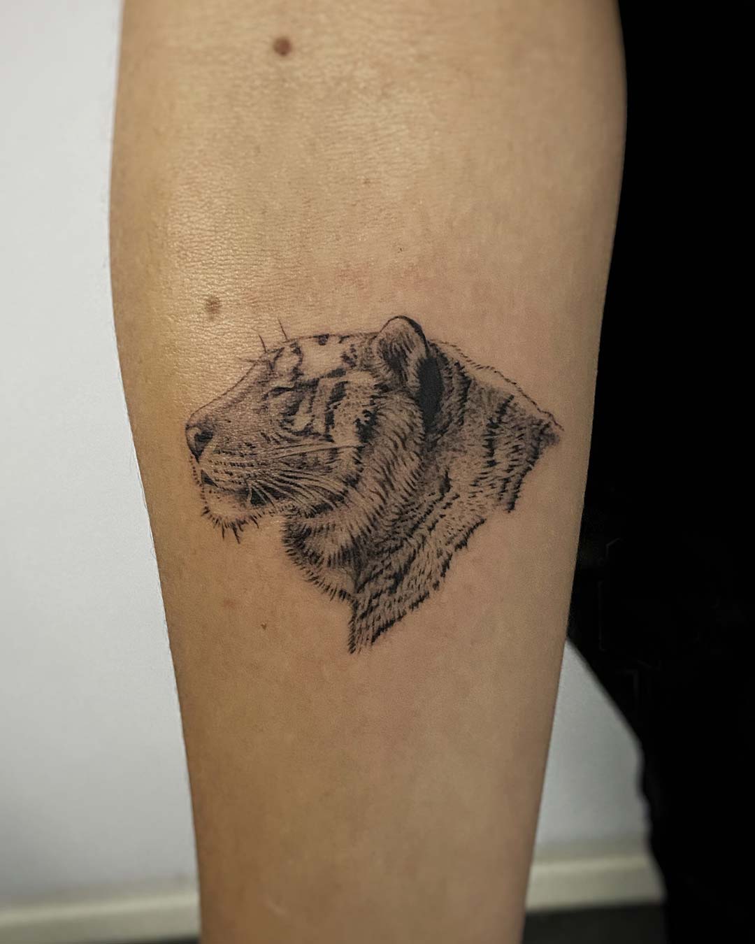 Tatuajes microrealismo cabeza de tigre - Santi H