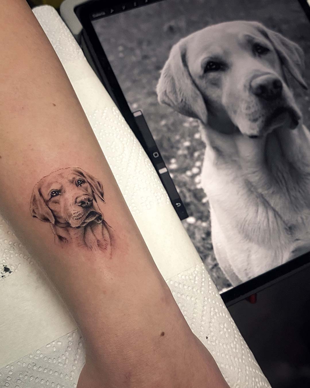 Tatuajes microrealismo retrato de perro - Santi H