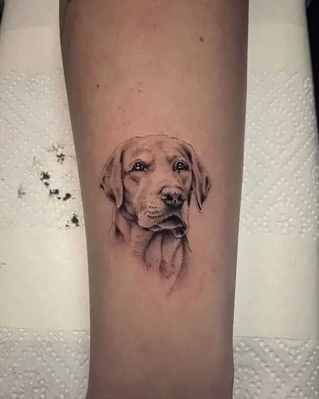 tatuaje-microrealismo-perro-labrador-santih